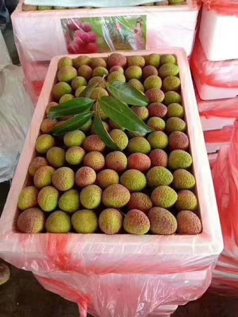 越南水荔