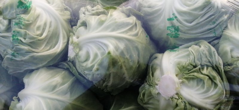 夏邑绿甘篮颜色绿，球形好，基地直供，代发全国。