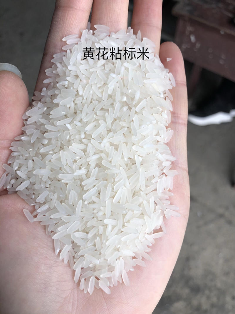 湖北钟祥丰乐龙泉米厂……黄花粘标米