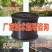 塑钢线（直销包邮）高强度塑钢线压膜线托幕线大棚线百香
