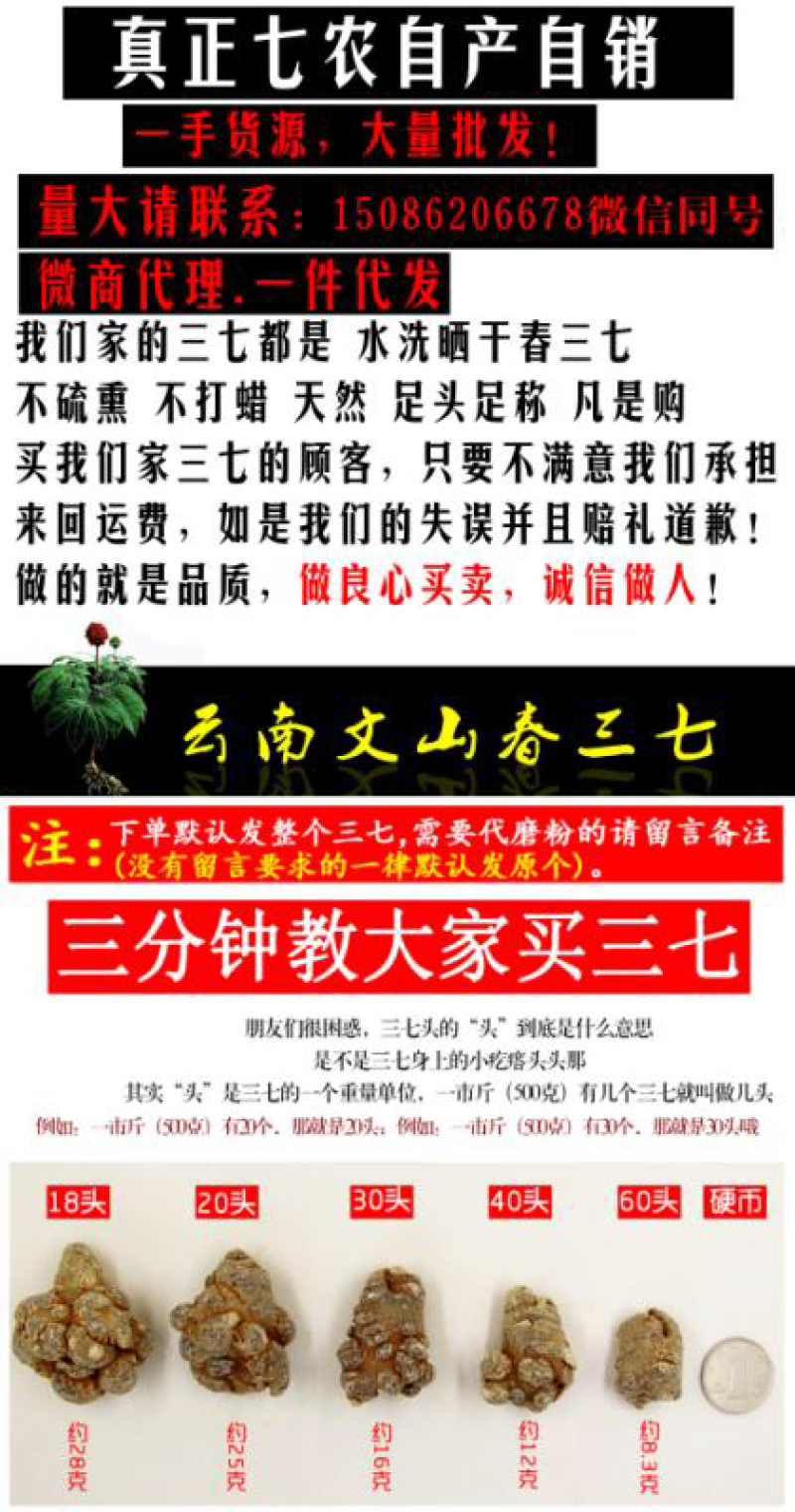 农户直销文山三七田七原产地批发可磨粉包邮