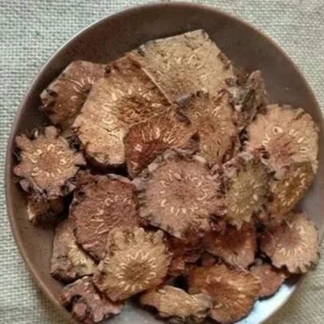 虎爪凤虎爪风绵马鳞毛蕨正品保证质量