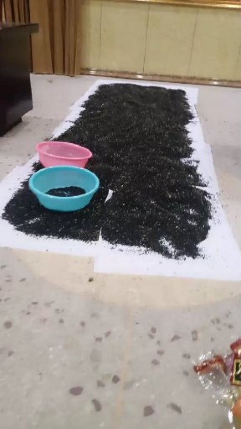 广西天冬种子高产量包回收