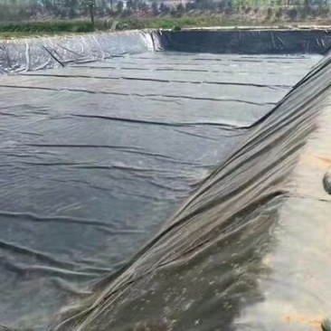 鱼塘养殖土工膜防渗膜养殖膜厂家化粪池使用