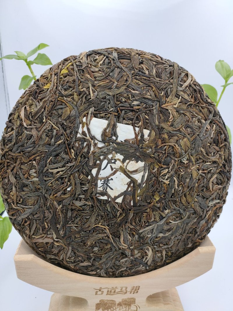 小户赛2010纯料云南七子饼普洱茶冰岛茶的香甜