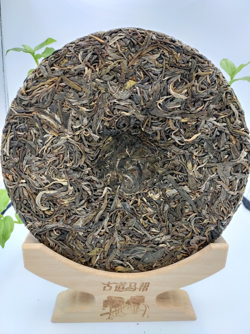 小户赛2010纯料云南七子饼普洱茶冰岛茶的香甜