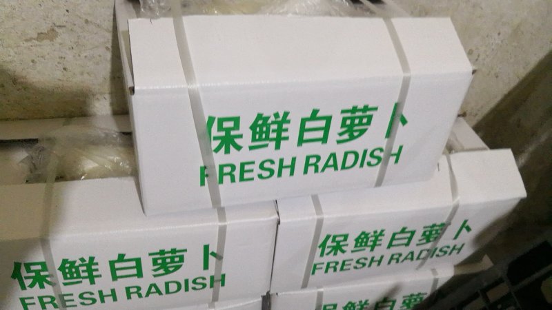 白罗卜