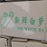 白罗卜