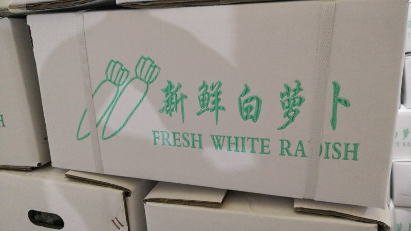 白罗卜