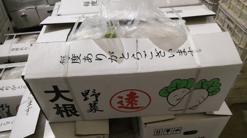 白罗卜
