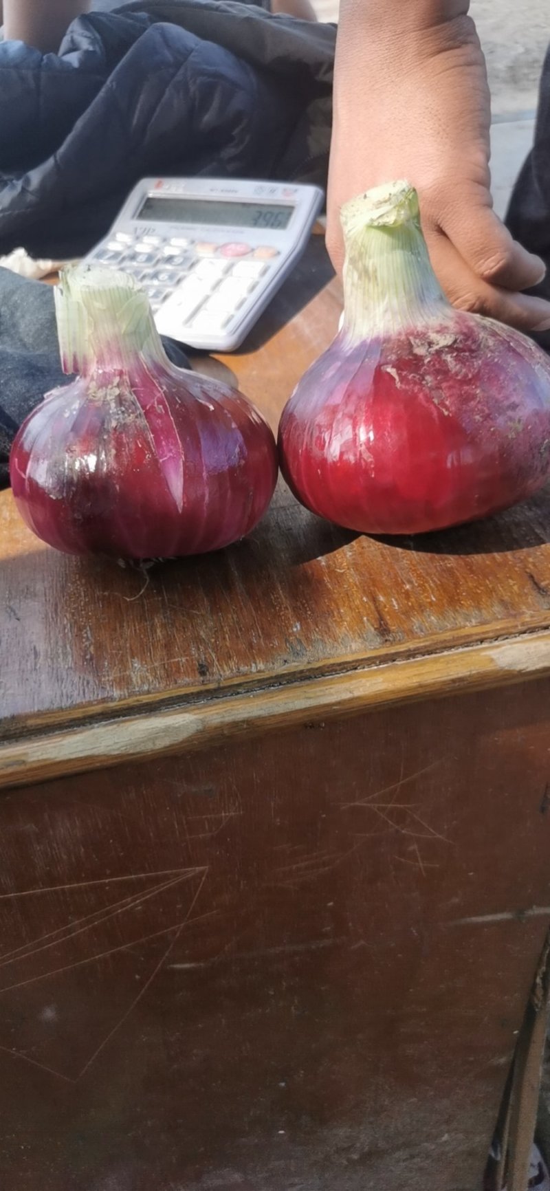 山东洋葱紫皮洋葱八公分以上质量有保证长年有货