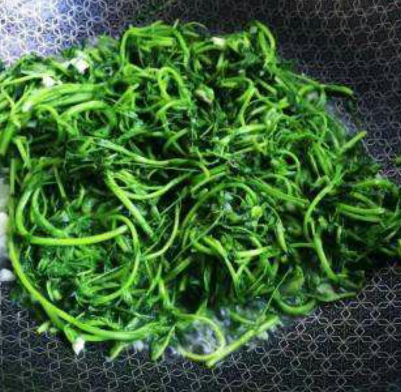 丹凤特产食用香苜蓿基地干货直供