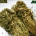 丹凤特产食用香苜蓿基地干货直供