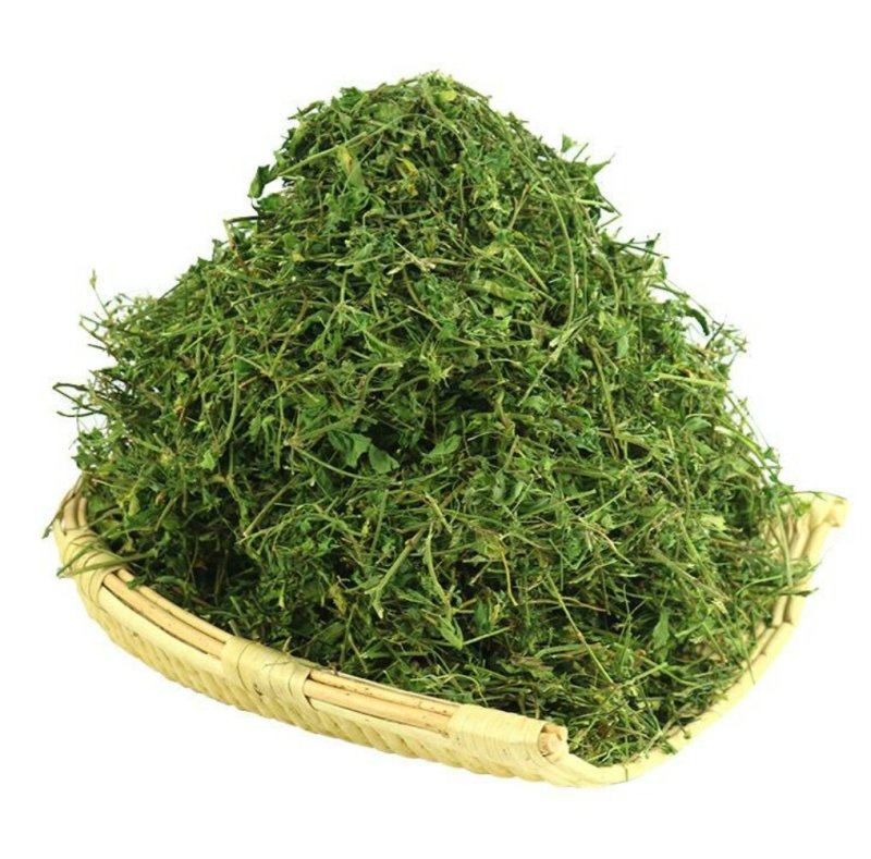 丹凤特产食用香苜蓿基地干货直供