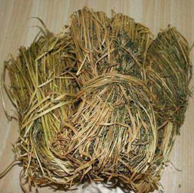 丹凤特产食用香苜蓿基地干货直供