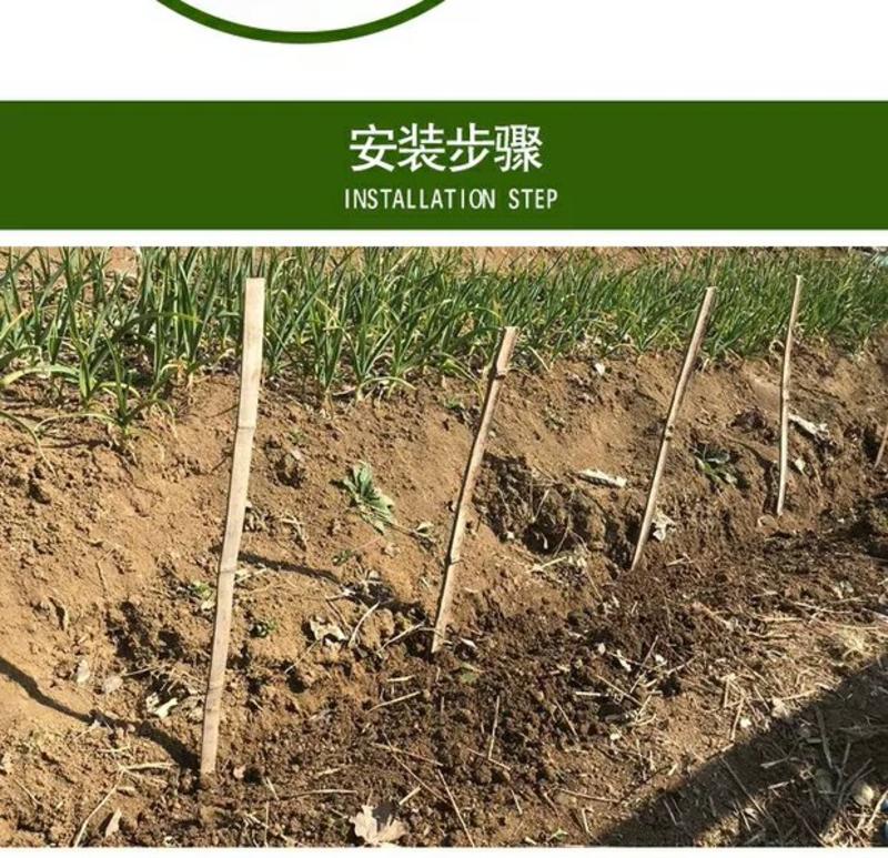 定做龙虾螃蟹鱼塘青蛙养殖网箱防逃网养小龙虾养殖塑料加厚防