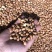 白沙花生米，河南白沙，8筛米，一级优选，一手货源