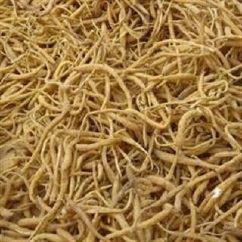 昌玉药材太子参小统性价款产地直销薄利多销