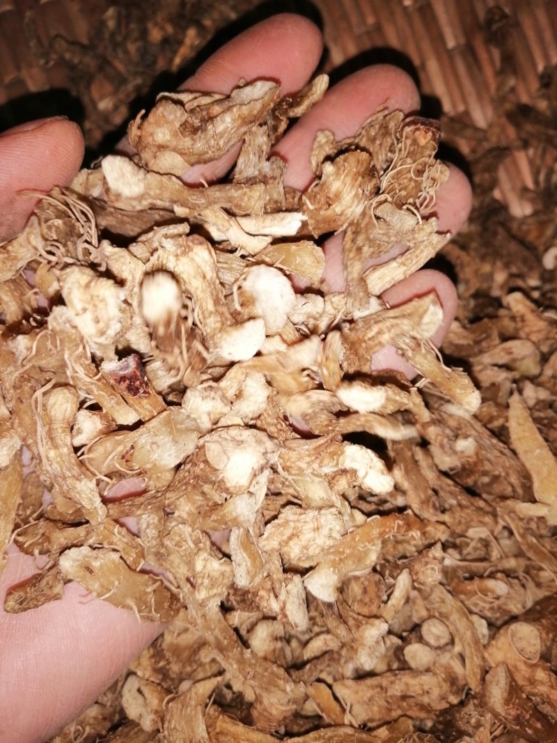 野生玉竹新货