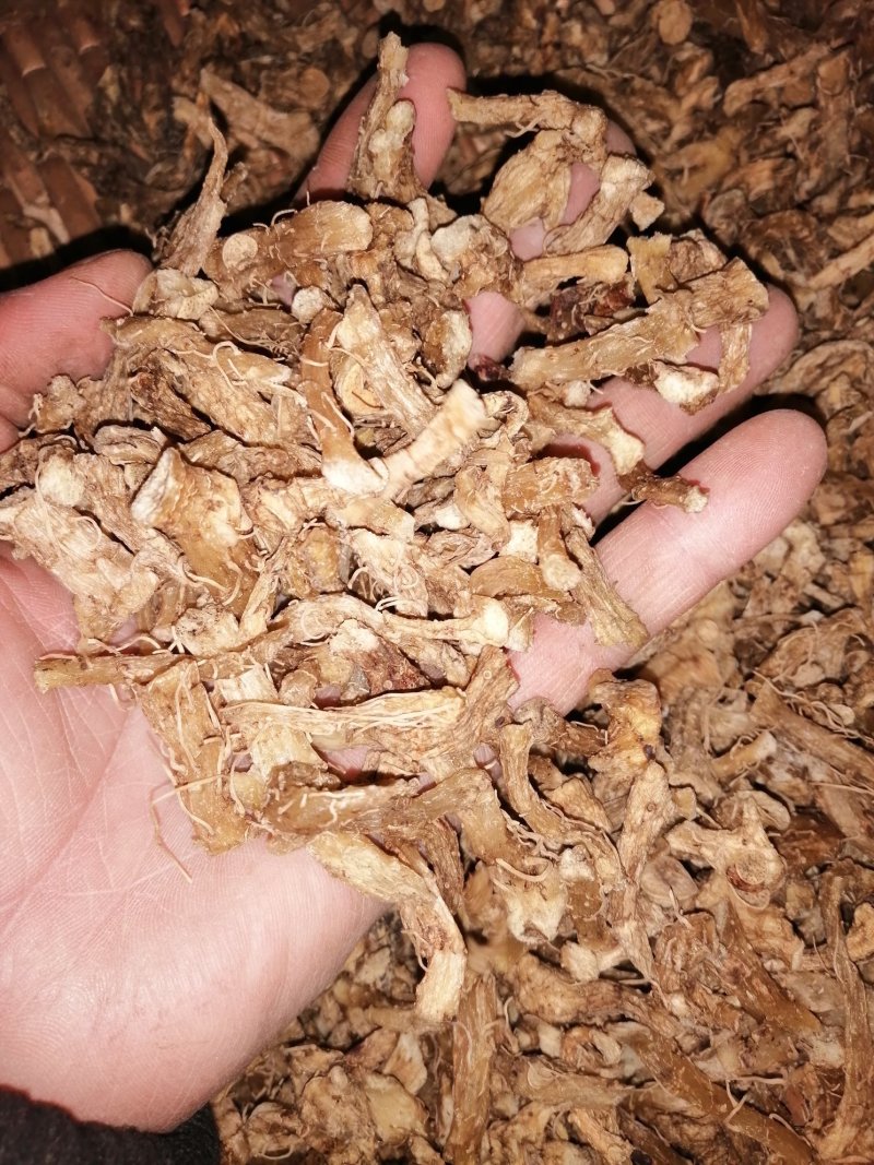 野生玉竹新货