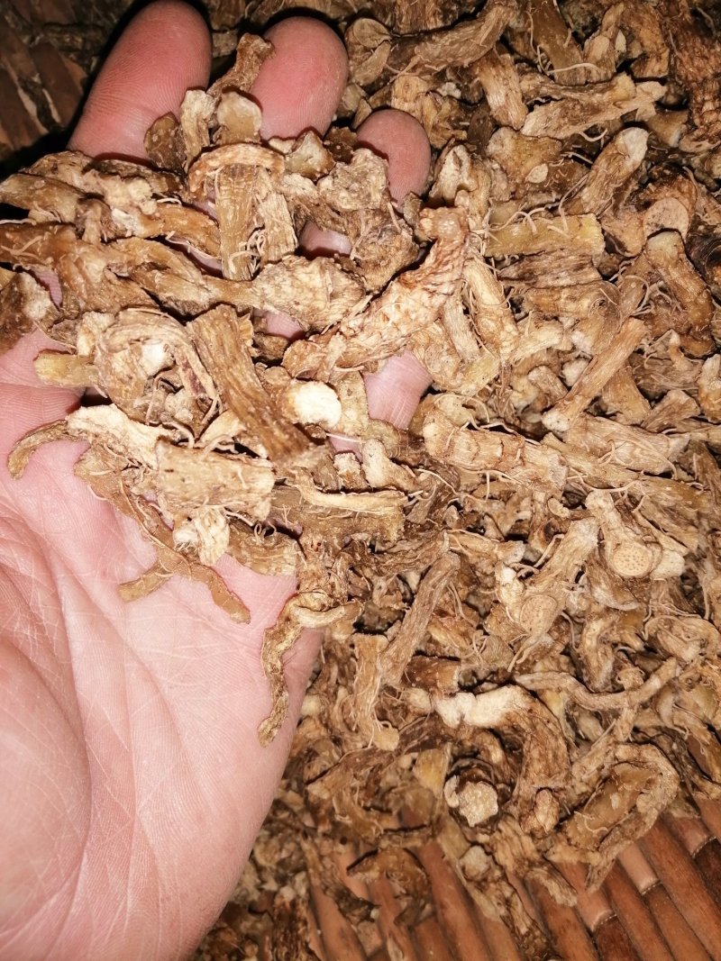 野生玉竹新货