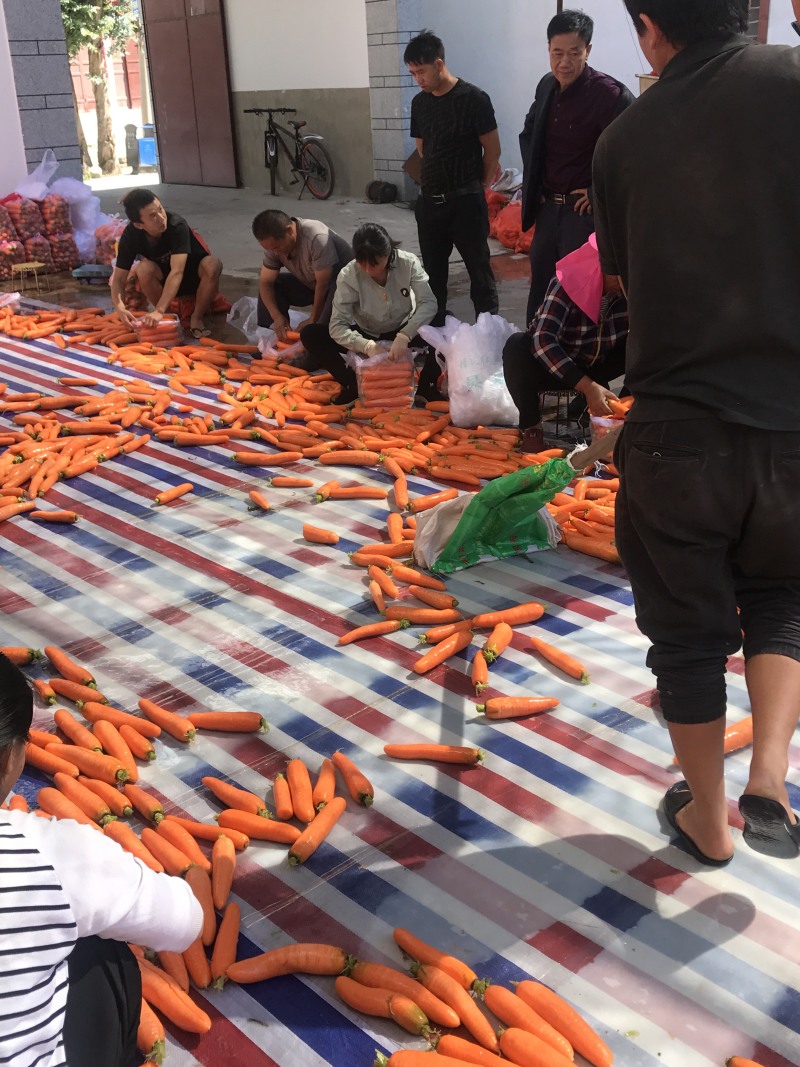 胡萝卜