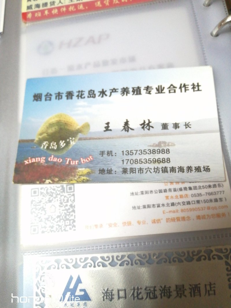 多宝鱼
