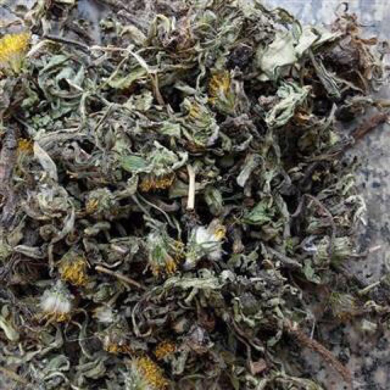 昌玉药材蒲公英产地直销量大价格从优