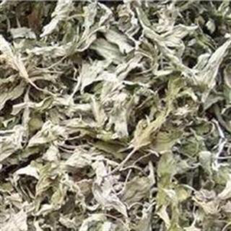 昌玉药材艾叶产地直销量大价格从优