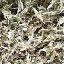 昌玉药材艾叶产地直销量大价格从优