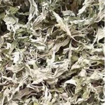 昌玉药材艾叶产地直销量大价格从优