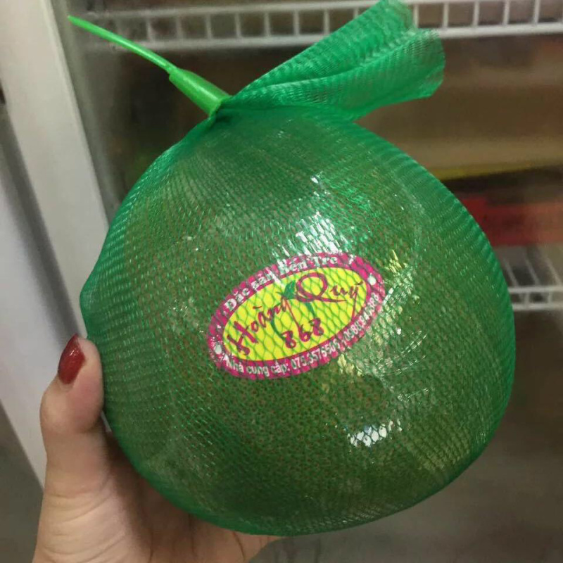 越南翡翠青皮柚正品嫁接苗