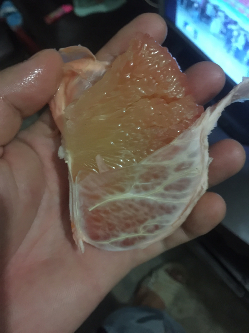 越南翡翠青皮柚正品嫁接苗