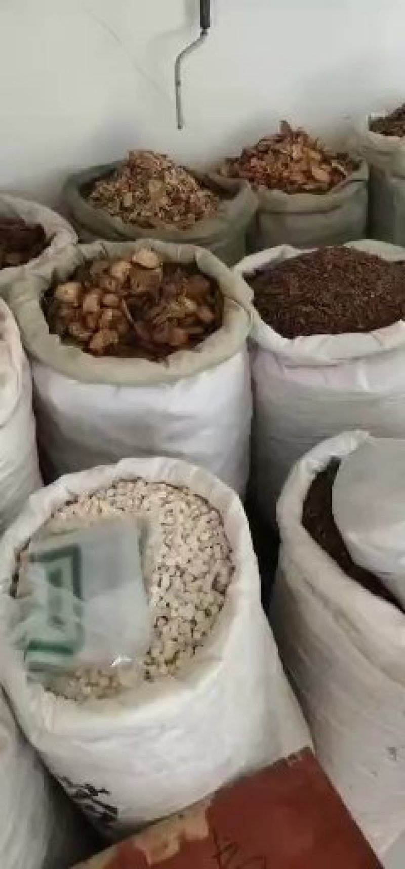 石菖蒲新货安徽大别山无硫地道药材关书药业