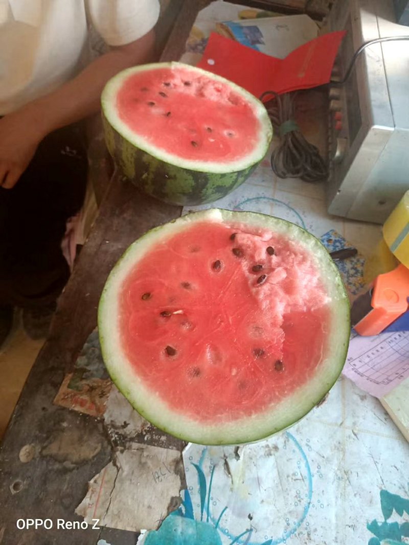 精品甜王大量上市