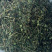昌玉药材透骨草产地直销薄利多销
