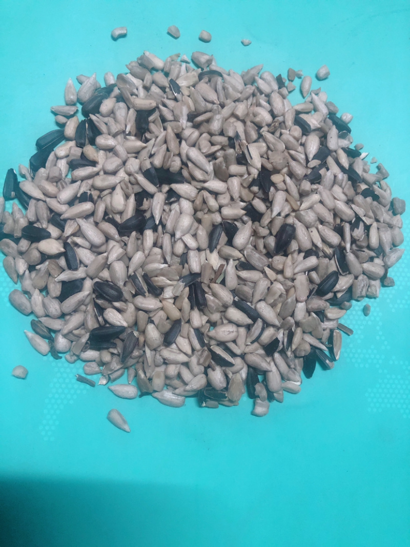 榨油油葵毛仁，葵仁出油高，油脂好，质量顶呱呱