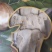 全国包邮云南精品野生菌FD冻干松茸
