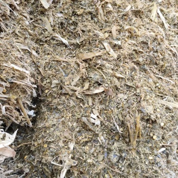 全株