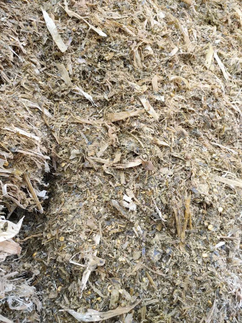 全株