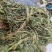 香料苜蓿(陕西商洛丹凤县龙居寨镇地标特色香苜蓿)产区直供