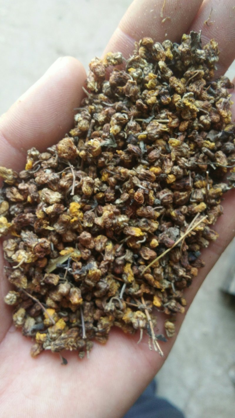 优质山萸肉，质量高，干度好，无杂质，