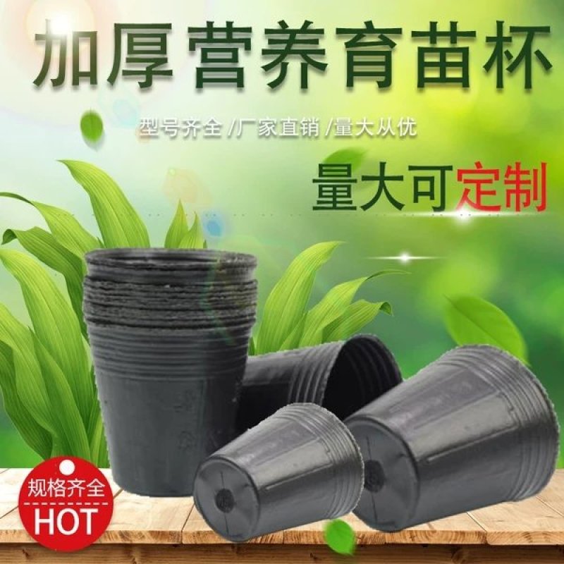 营养钵营养杯育苗杯育苗袋10x10号2分