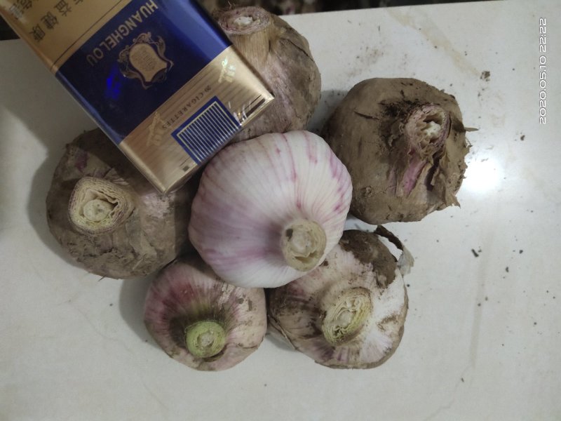 江苏徐州大蒜混级通货可大量存货，一手货源没有差价货源充足