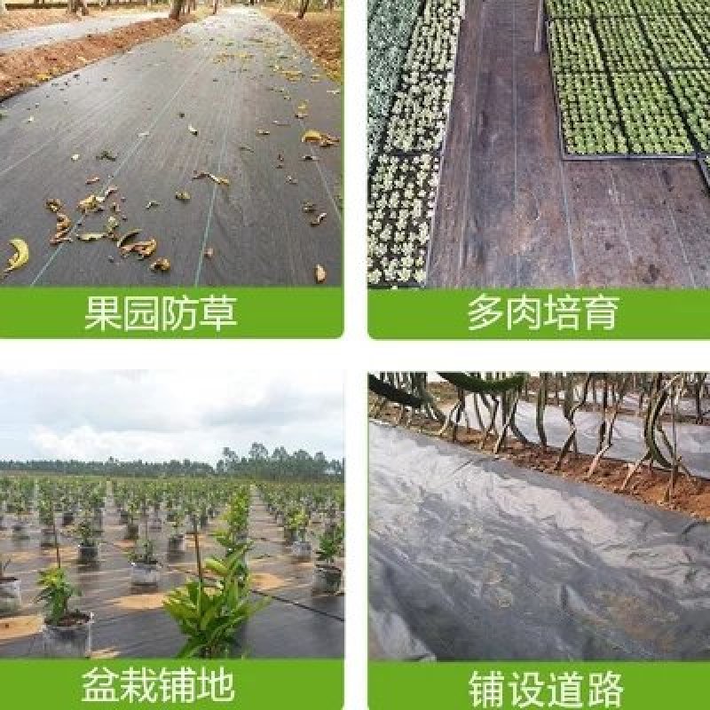 防草布厂家直发抗老化全新材质果树园林专用除草布