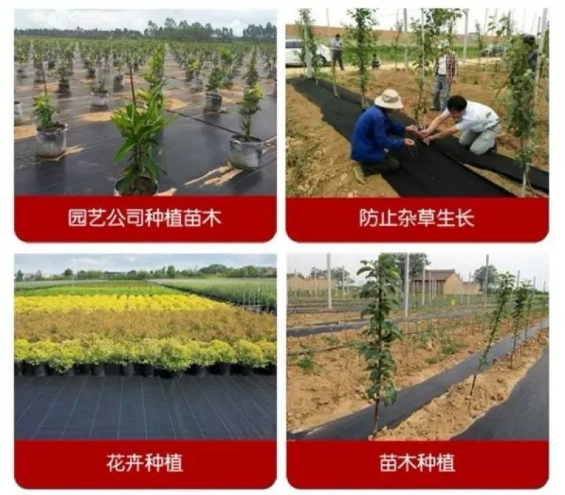 防草布厂家直发抗老化全新材质果树园林专用除草布