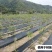 防草布厂家直发抗老化全新材质果树园林专用除草布