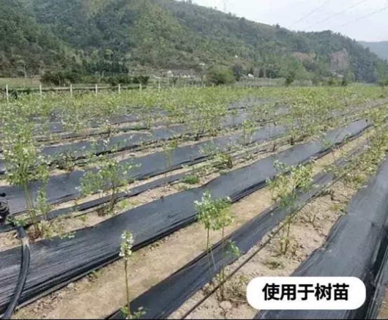 防草布厂家直发抗老化全新材质果树园林专用除草布