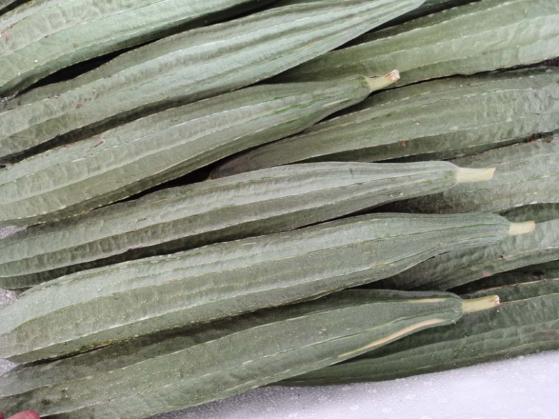 丝瓜