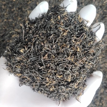 祁门红茶